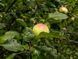 Fotowalk Pfarrwerfen - Bahnhof Werfen